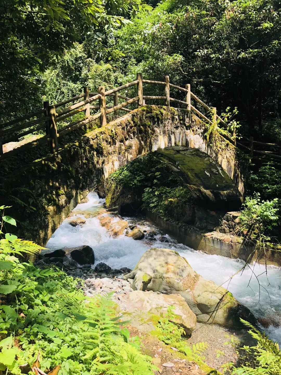 重庆秀山住建委回应“网民称井盖用竹签代替钢筋”：介入调查